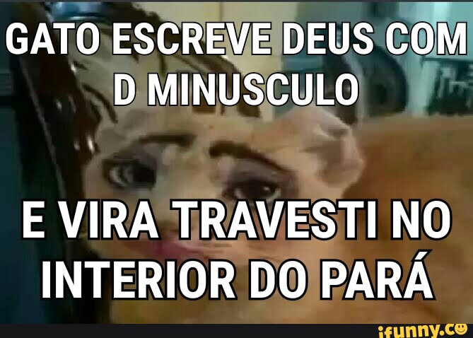 Minúsculo memes. Best Collection of funny Minúsculo pictures on iFunny  Brazil