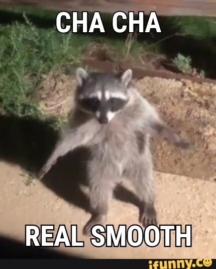 CHA CHA REAL SMOOTH iFunny Brazil