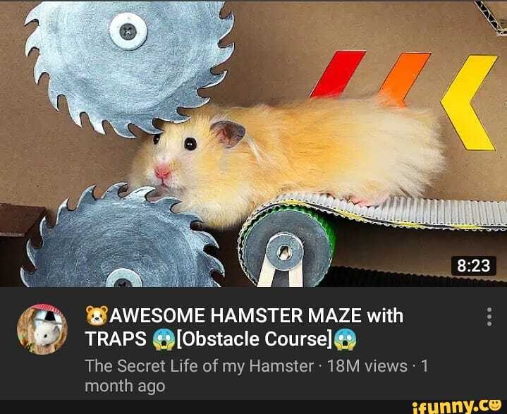 Hamster Life - Roblox