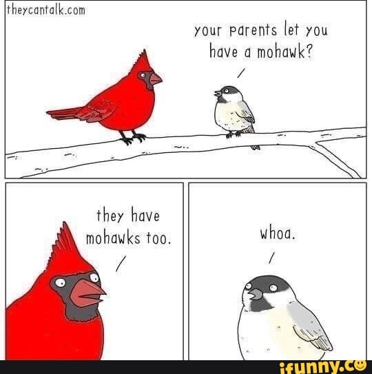 funny cardinal memes