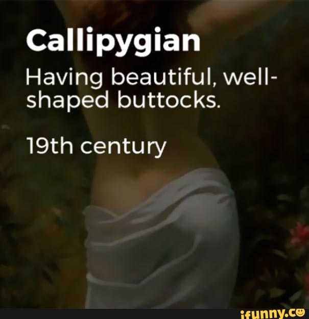 Callipygous memes. Best Collection of funny Callipygous pictures