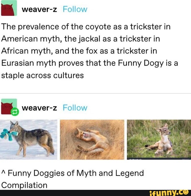 Coyote memes. Best Collection of funny Coyote pictures on iFunny Brazil