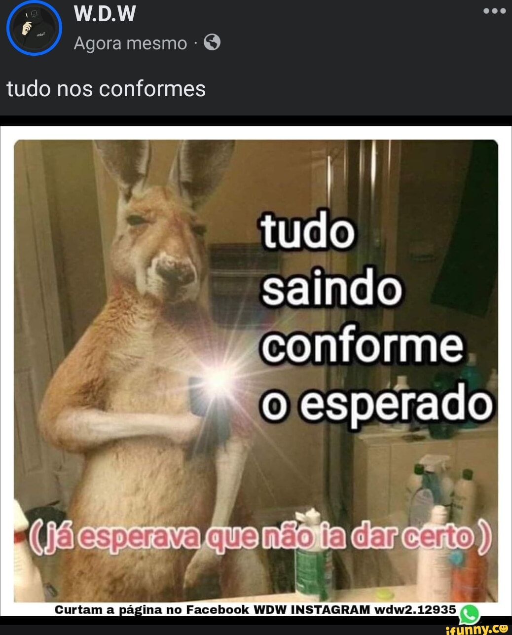 Curtido por caro outras pessoas renansouzones Encostei nos bagos do touro,  depois ainda descobri que isso dá sorte com dinheiro. Vantagem dupla! -  iFunny Brazil