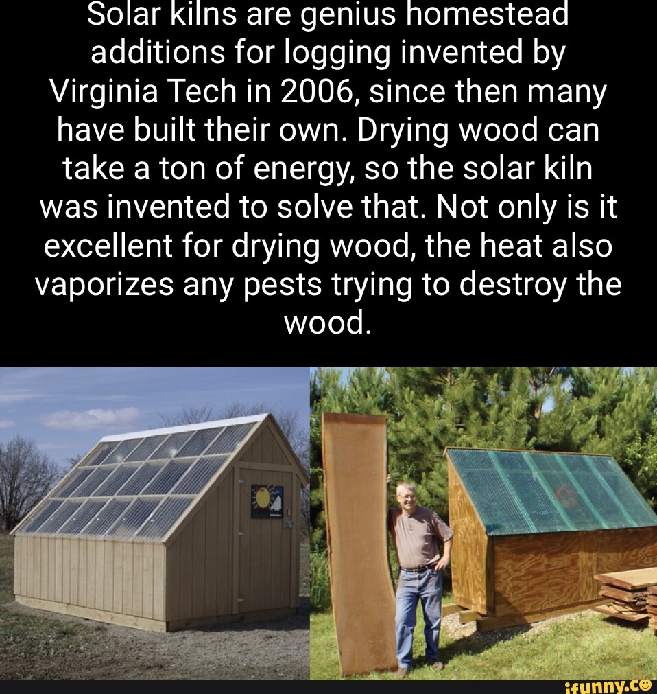 Solar kilns are genius homestead additions for logging invented by