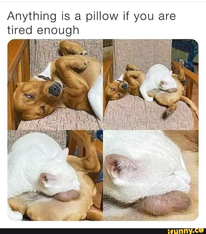 Anything is a pillow if you are tired enough iFunny Brazil