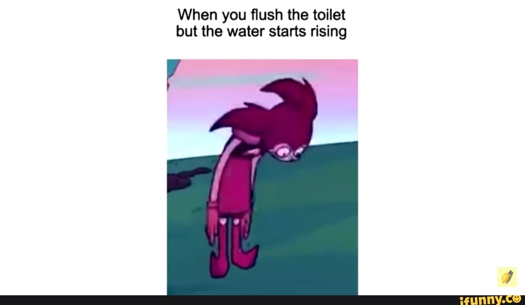 REEEEEEEEAL!! - When you flush the toilet and the water starts risin -  iFunny Brazil