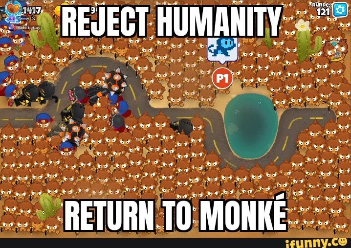 monke memes are the future : r/dankmemes