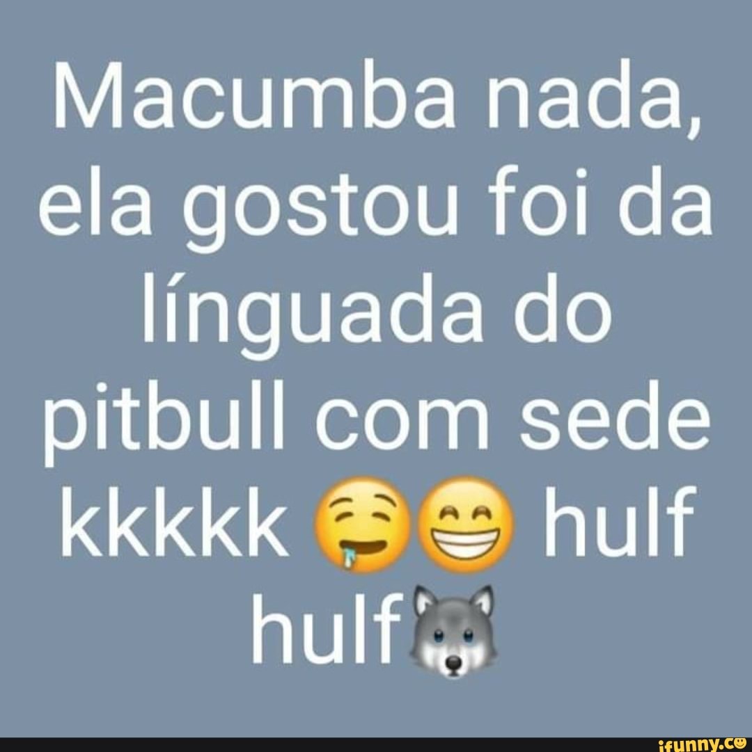 Macumba nada, ela gostou foi da linguada do pitbull com sede kkkkk hulf  hulf - iFunny Brazil