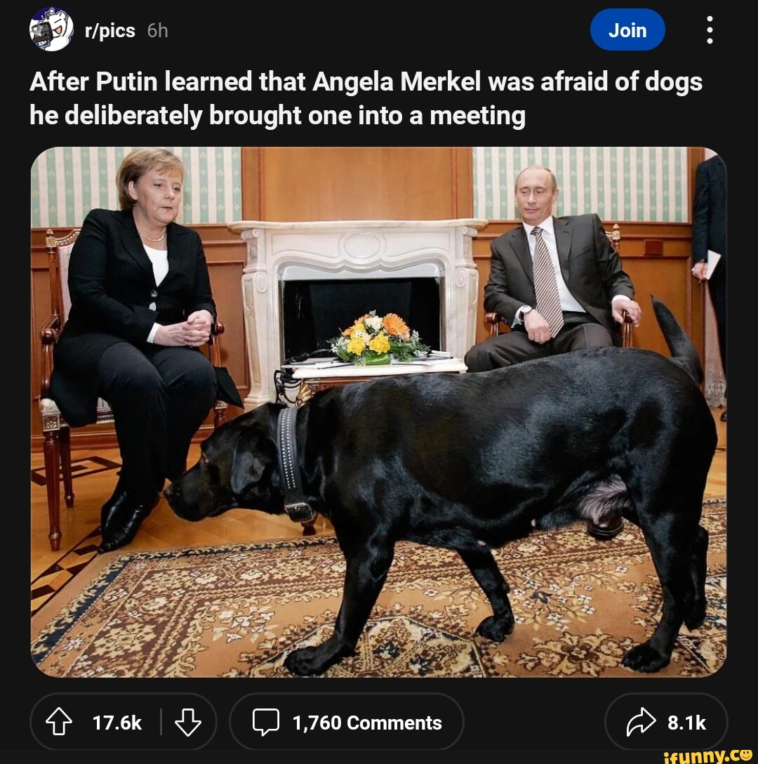 Join After Putin Learned That Angela Merkel Was Afraid Of Dogs He ...