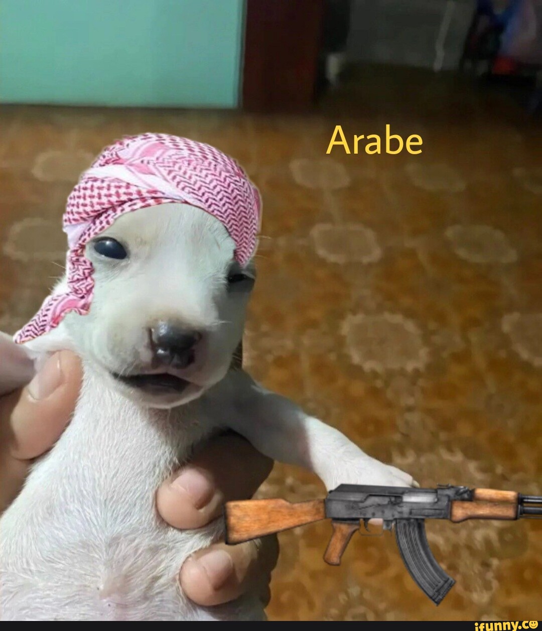 Memes de imagem TUZMWIrgA por arabe: 1 comentário - iFunny Brazil