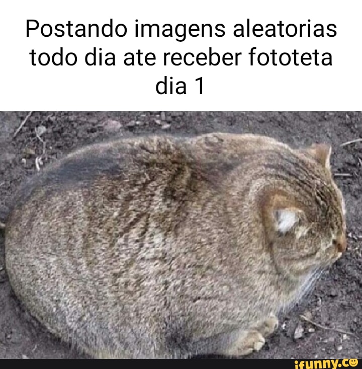 Aleatória Permalink:  22/42 I - iFunny  Brazil