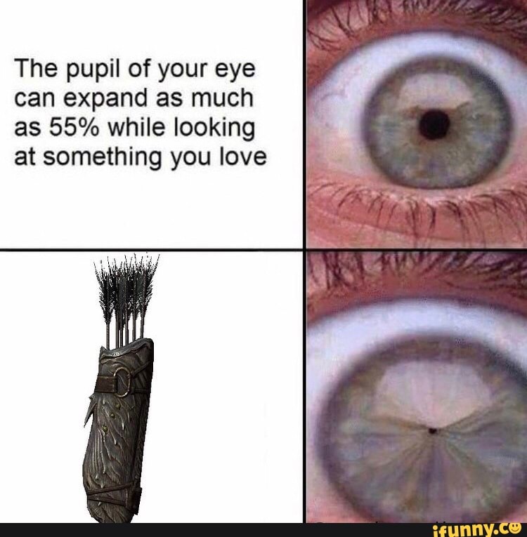 The pupil of your eye can expand as much is 55% will]: locking at sºmething  you love. - iFunny