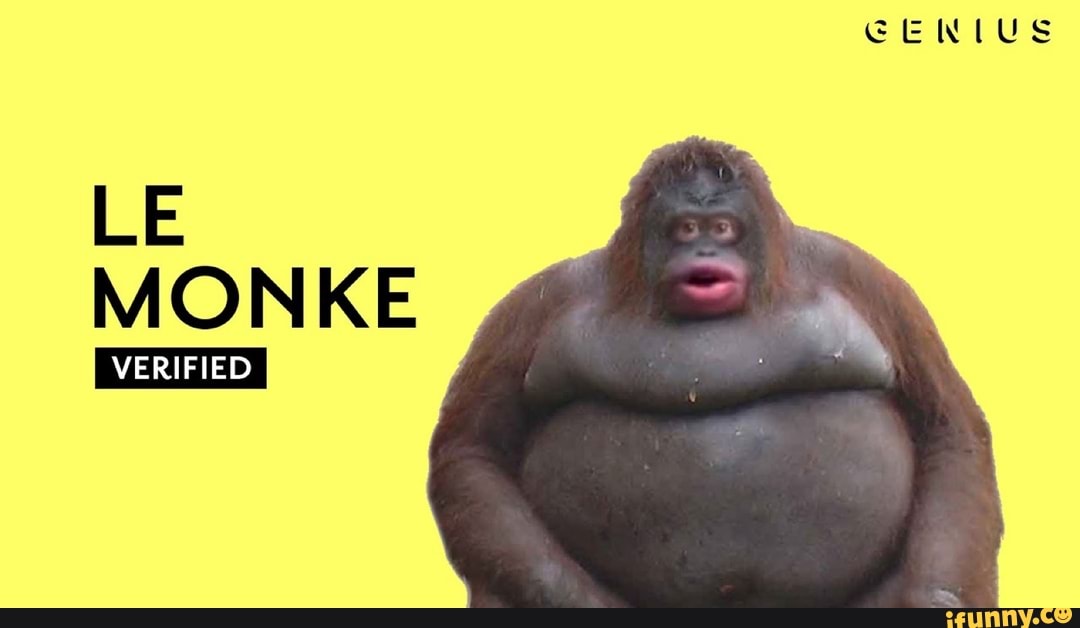 Le monkey face - iFunny Brazil