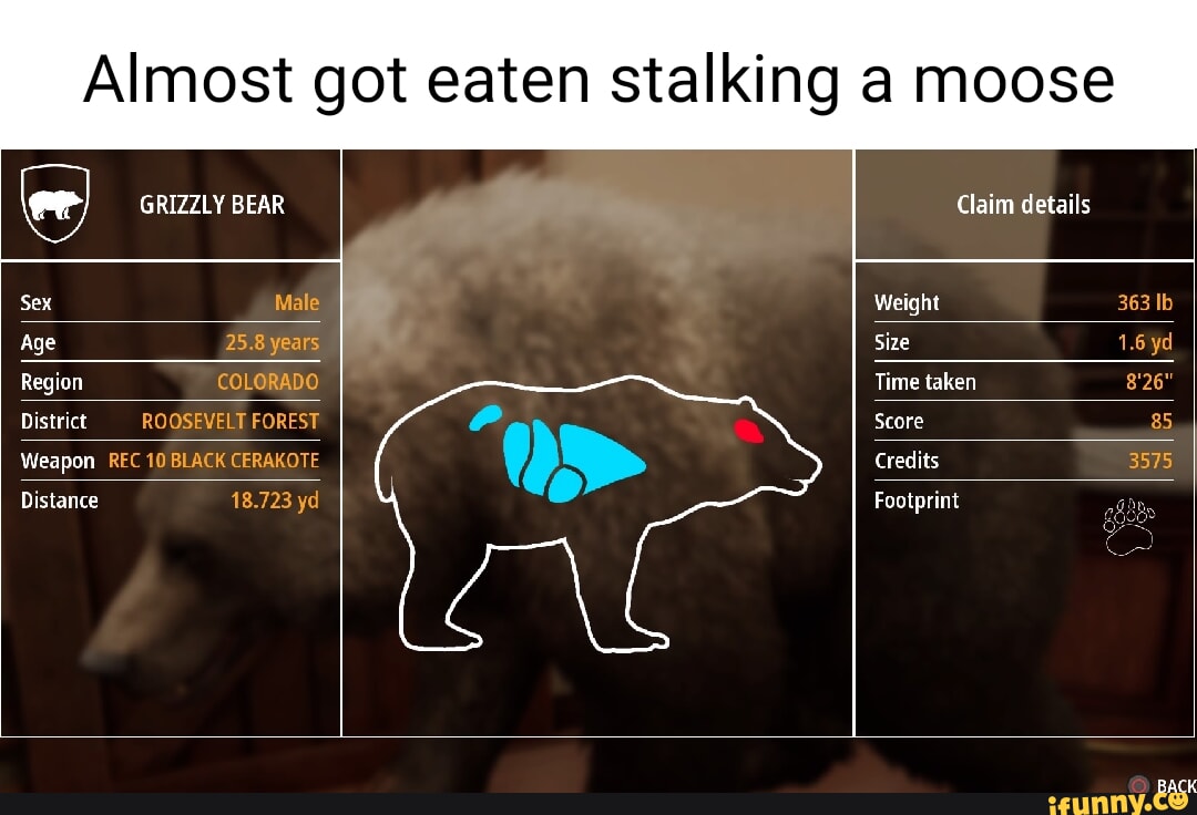 Almost got eaten stalking a moose GRIZZLY BEAR I Claim details Sex Male  Weight 363 Ib