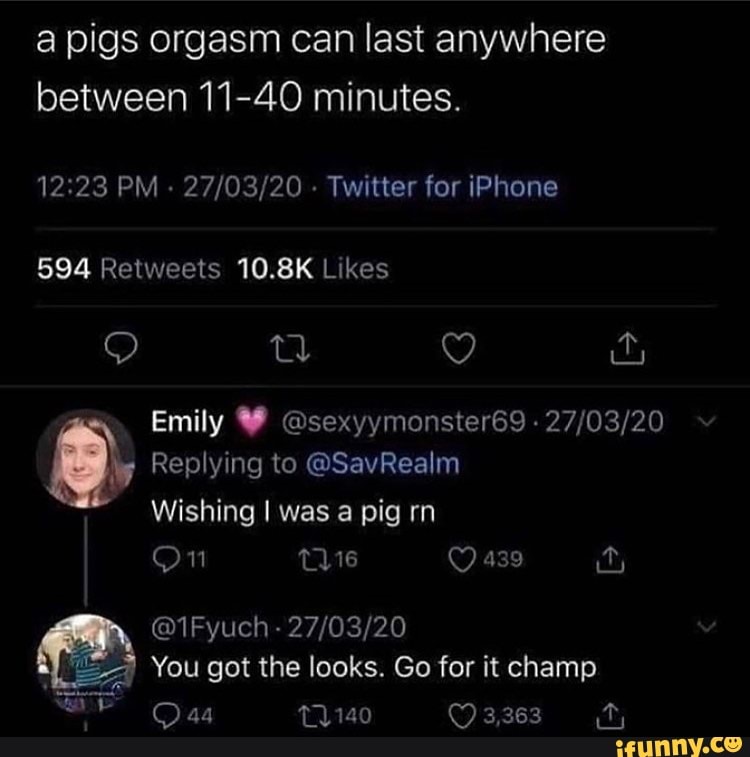 A pigs orgasm can last anywhere between 11 40 minutes. PM