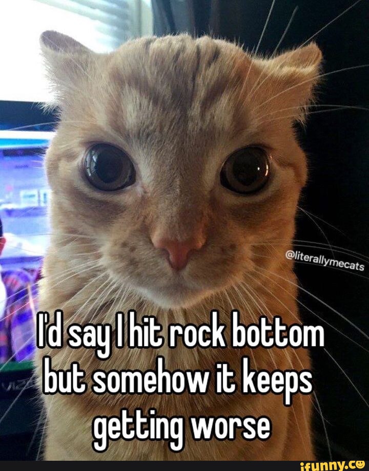 the Rock Articulated meme by SkittishEgg7889