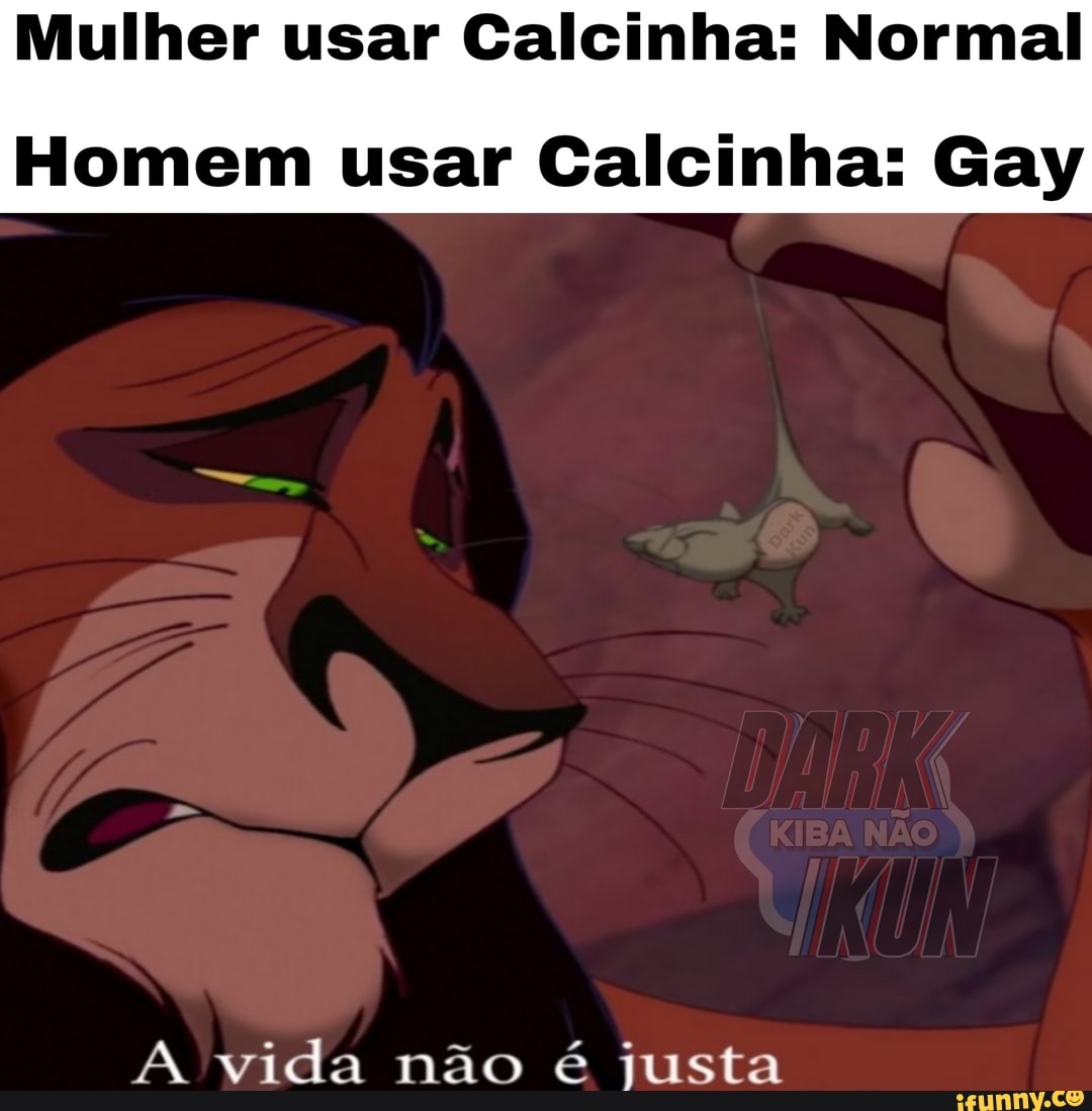 Mulher usar Calcinha: Normal Homem usar Calcinha: Gay A vida não é justa -  iFunny Brazil