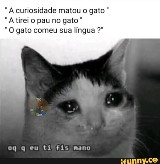 JOGO DO GATO - iFunny Brazil