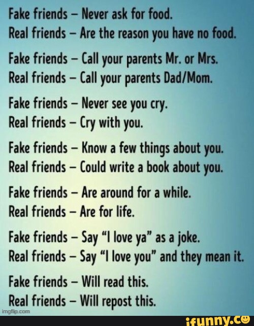fake friends