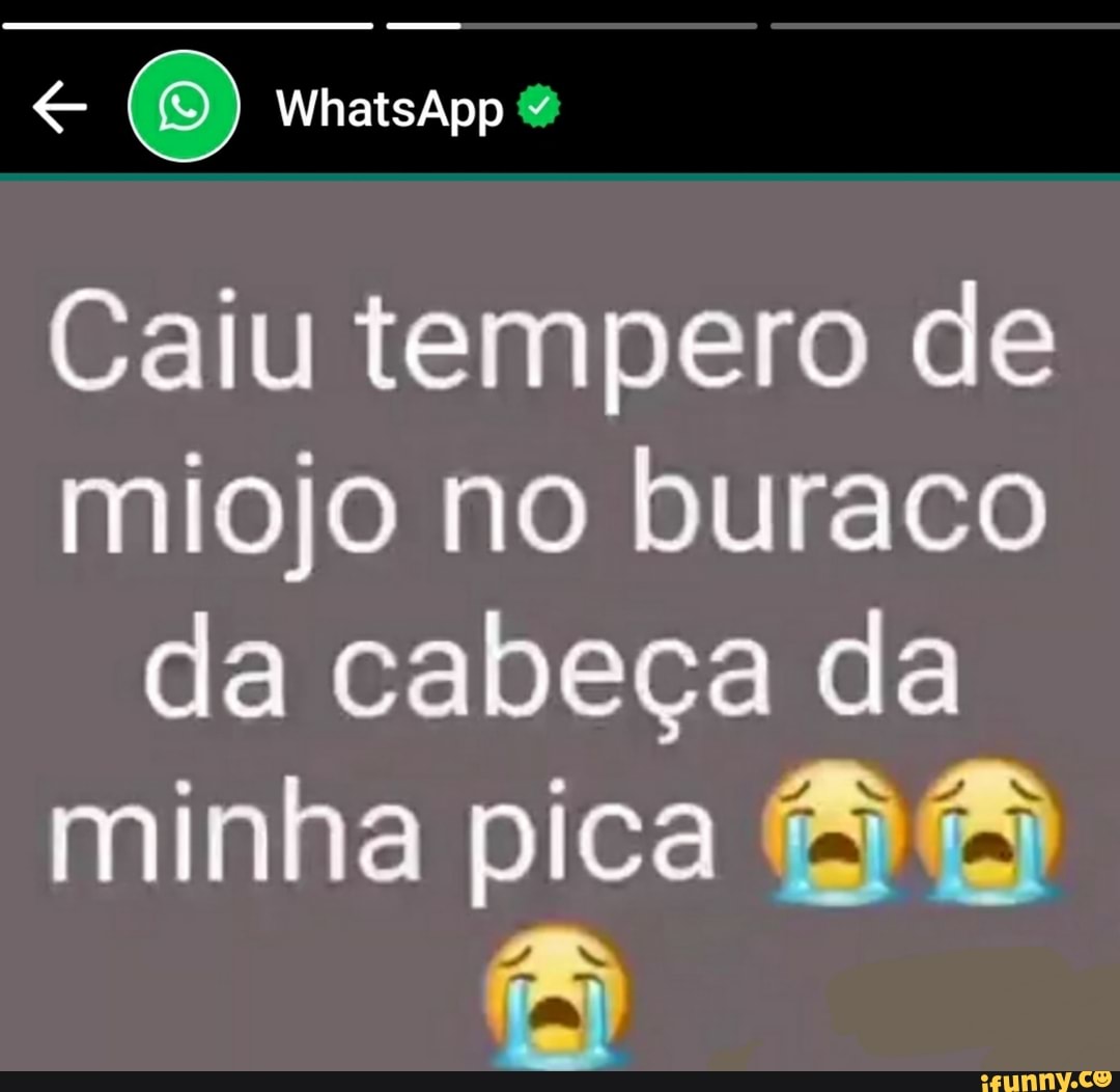 WhatsApp Caiu tempero de miojo no buraco da cabeça da minha pica - iFunny  Brazil