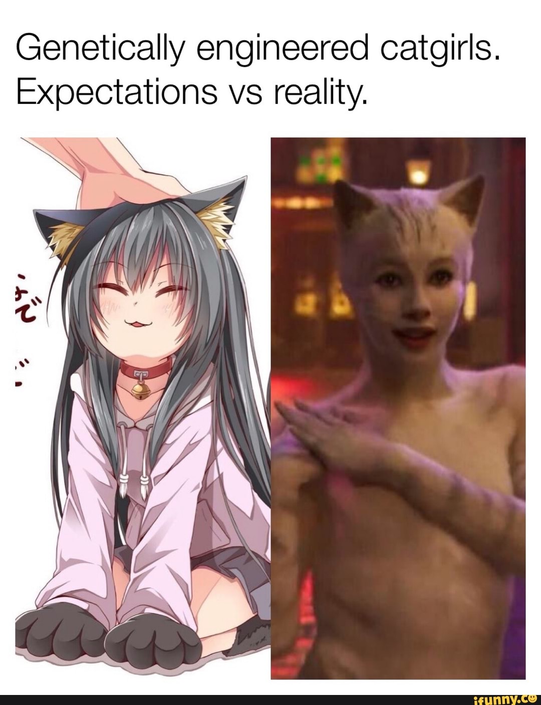 Catgirls: Expectations: - iFunny  Anime memes, Anime funny, Cat girl