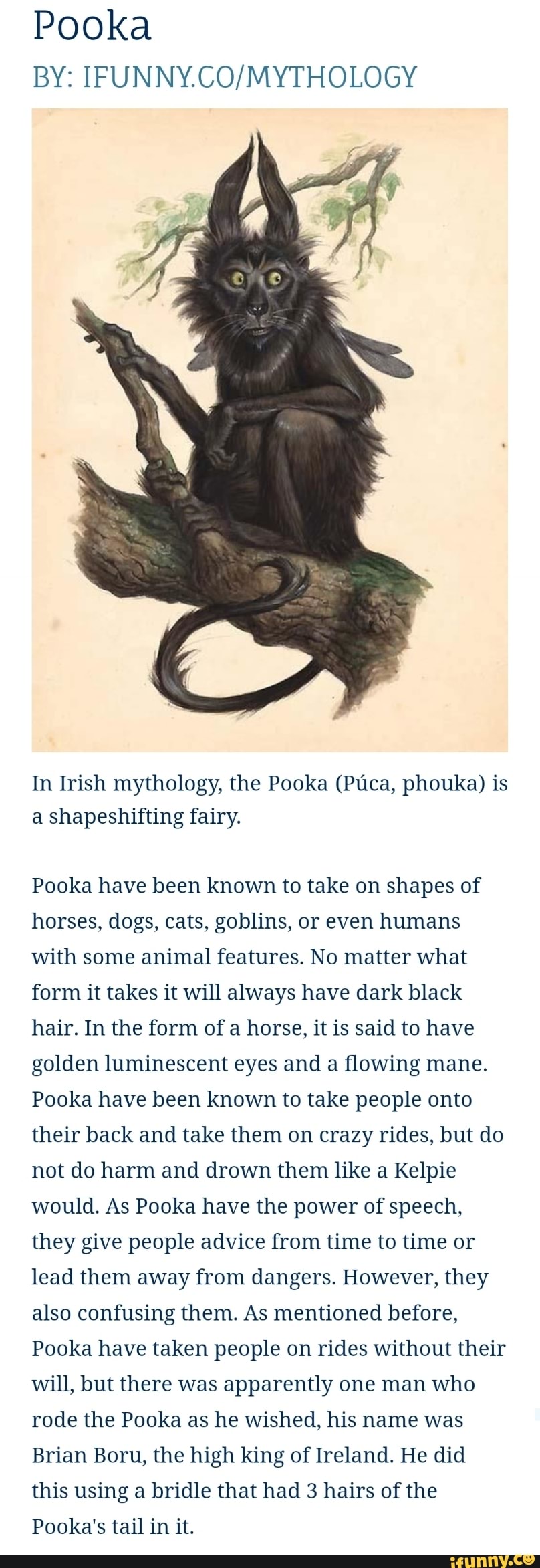 Pooka By Ifunnycomythology In Irish Mythology The Pooka Ptca