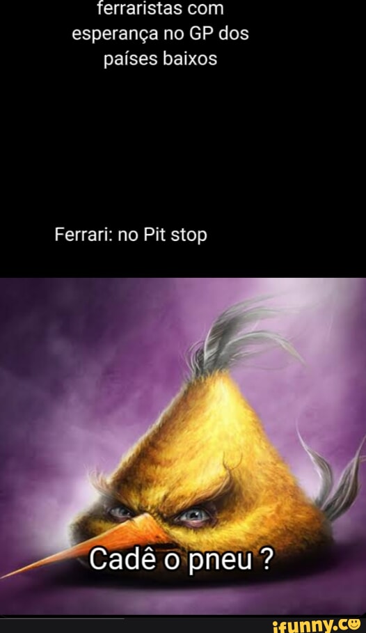 Pitt memes. Best Collection of funny Pitt pictures on iFunny Brazil