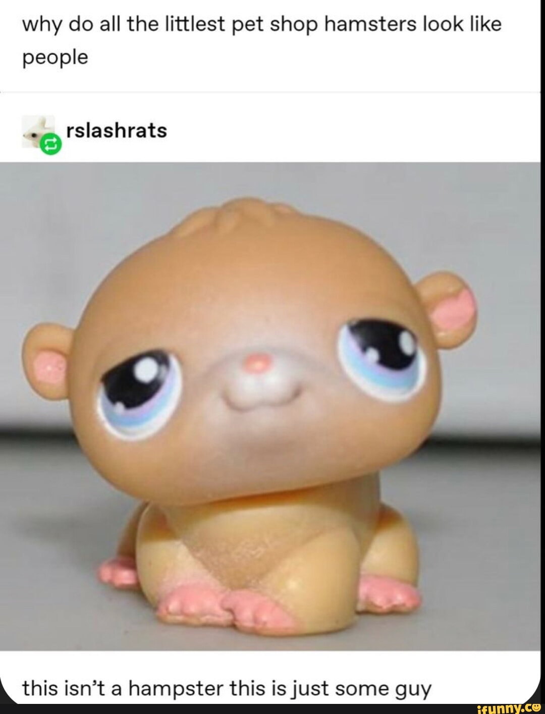 Why do all the littlest pet shop hamsters look like people rslashrats