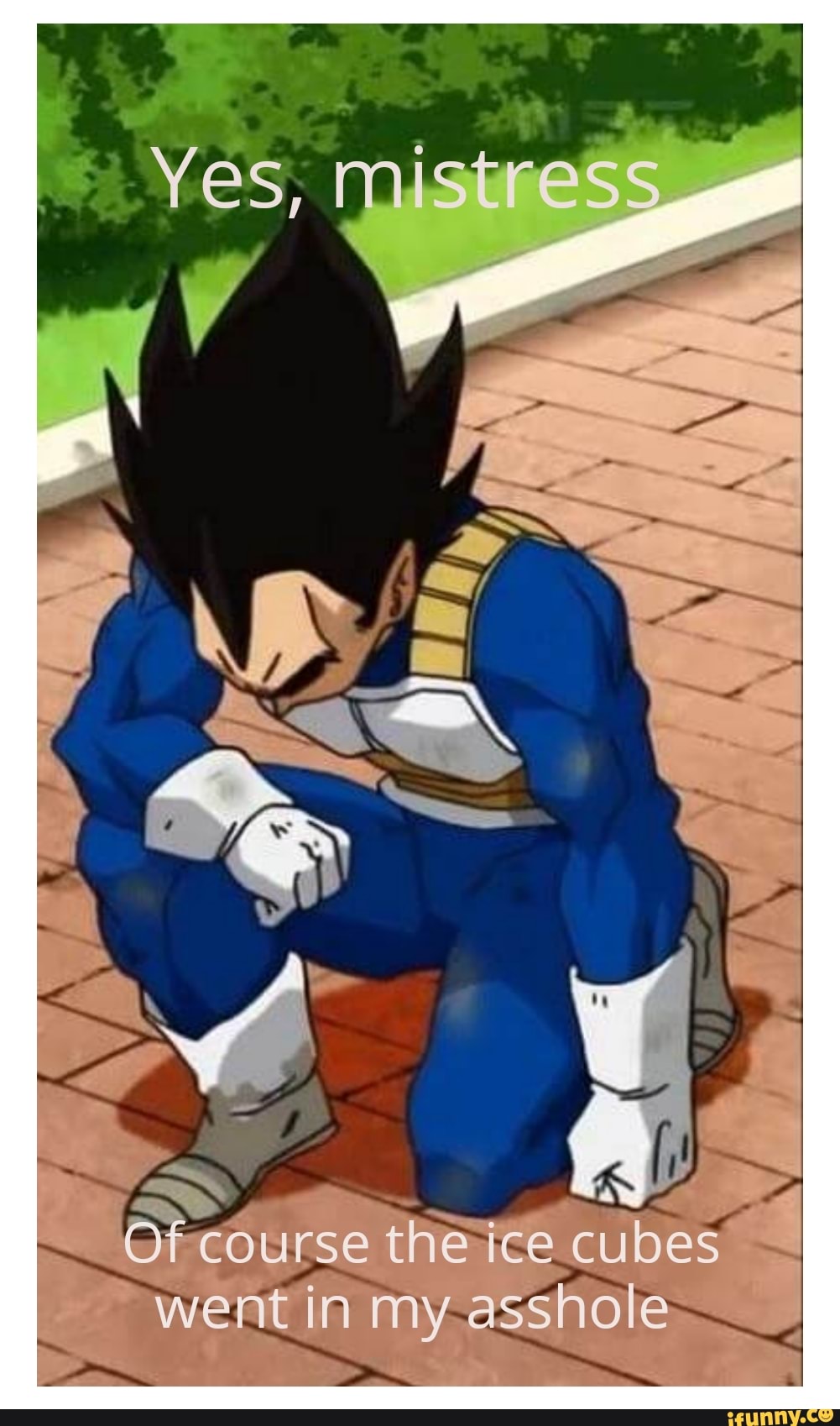 Yes, MIstress Of course the ice cubes went in my asshole - iFunny Brazil