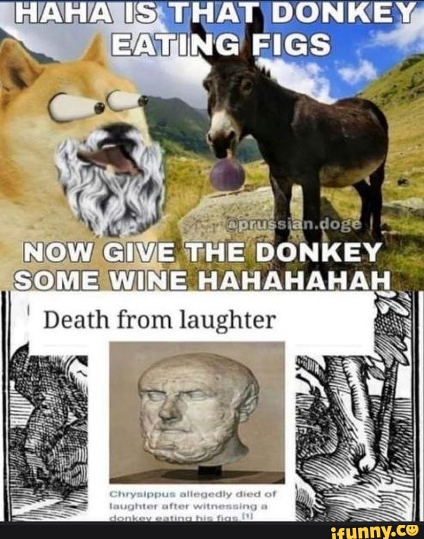 HAHA IS THAT DONKEY EATING FIGS NOW GIVE THE DONKEY SOME WINE