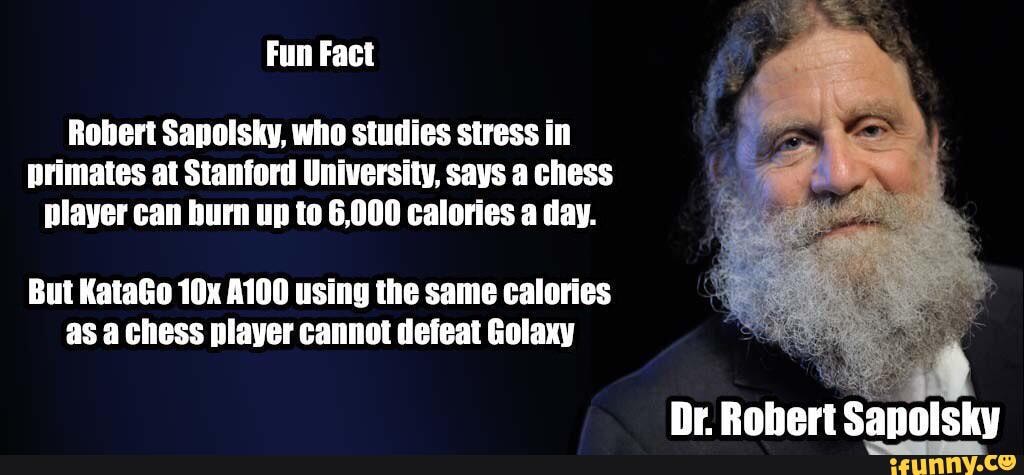 6,000 calories Robert Sapolsky, who studies stress in primates at