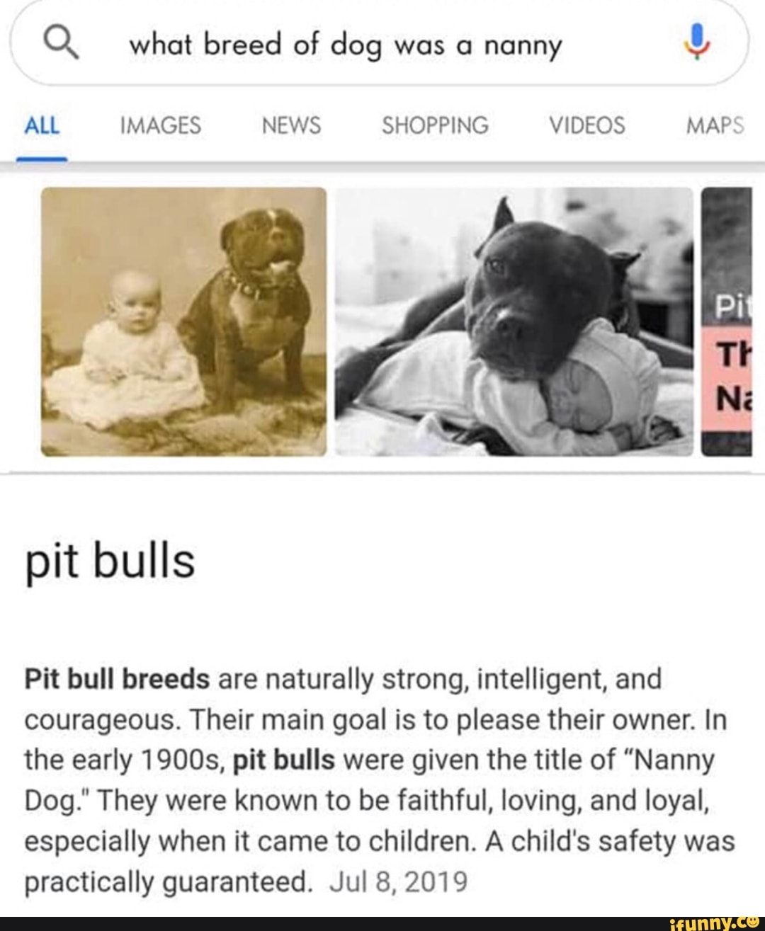 Pit bulls bred to be best sale nanny dogs