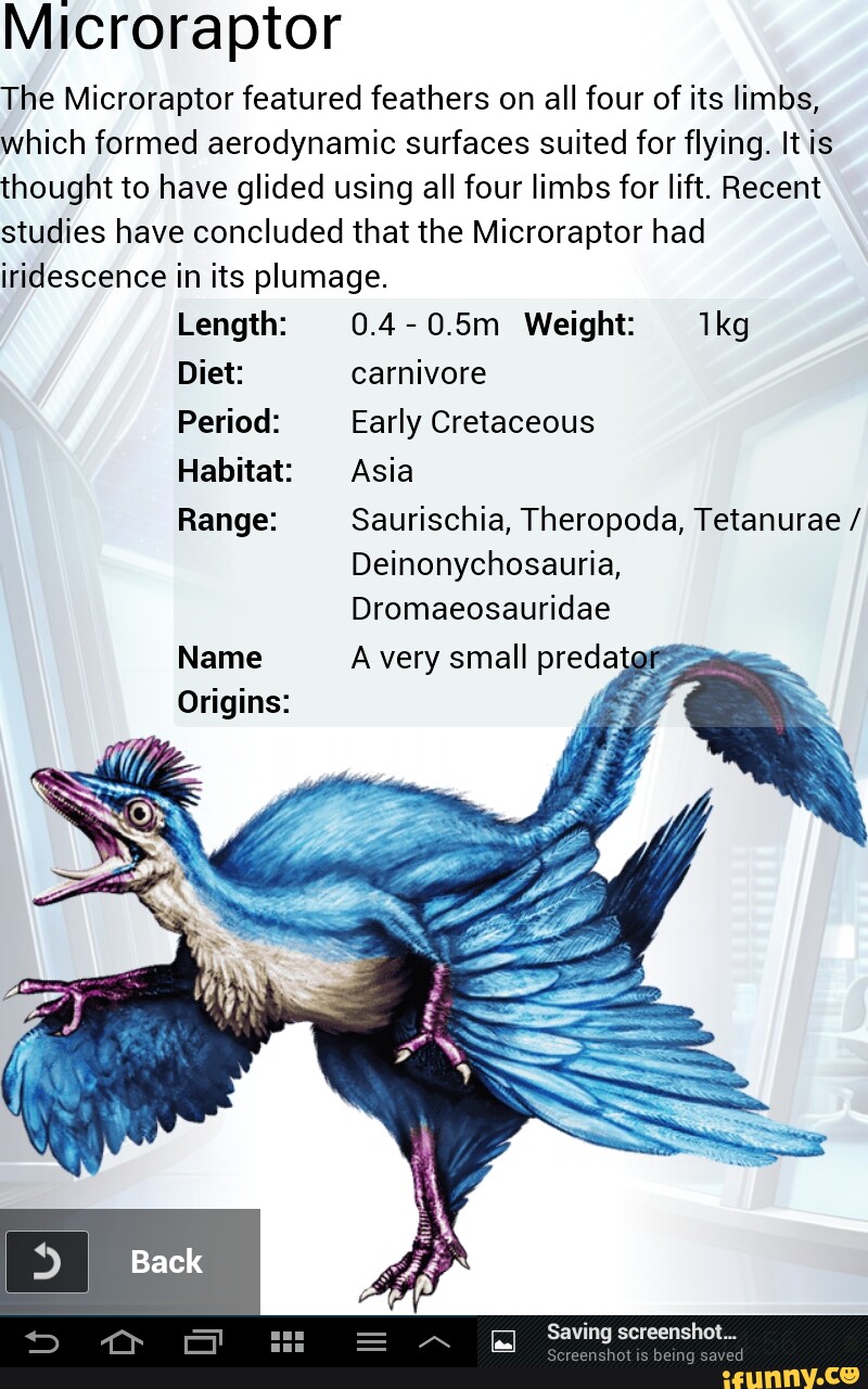 Microraptor The Microraptor featured feathers on all four of its limbs ...