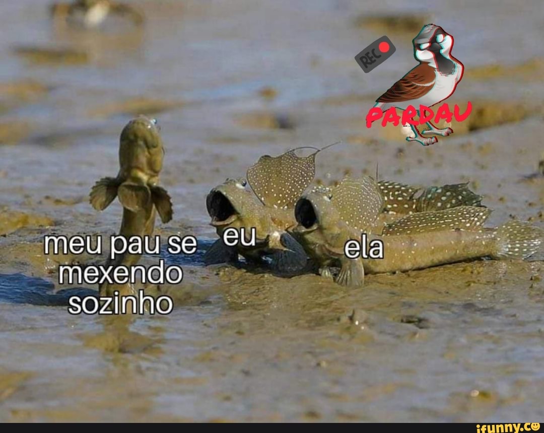 Neu pau se mexendo sozinho Cu - iFunny Brazil