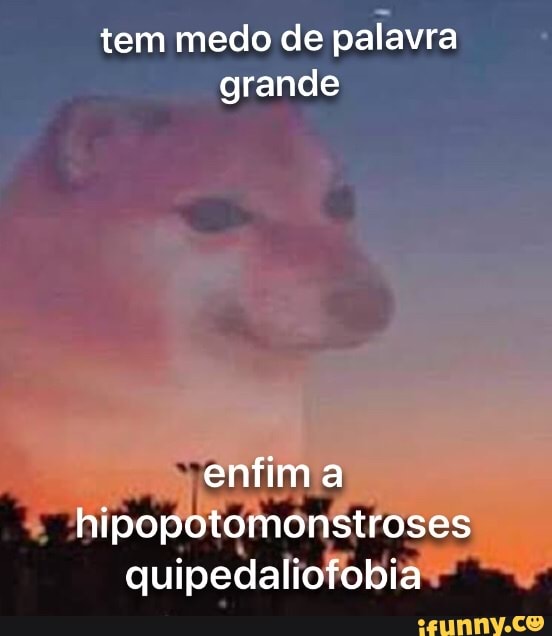 Tem medo de palavra grande enfim a hipopotomonstroses quipedaliofobia ...