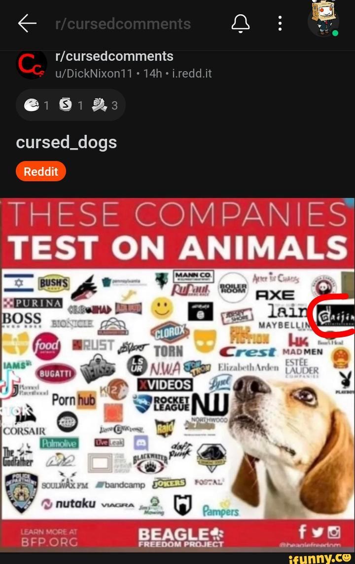 I.redd.it Gi BB: cursed_dogs Reddit THESE COMPANIES TEST ON ANIMALS = =  PURI NA- BOSS Porn hub CORSAIR nutaku BFO ORG Pampers BEAGLES - iFunny  Brazil