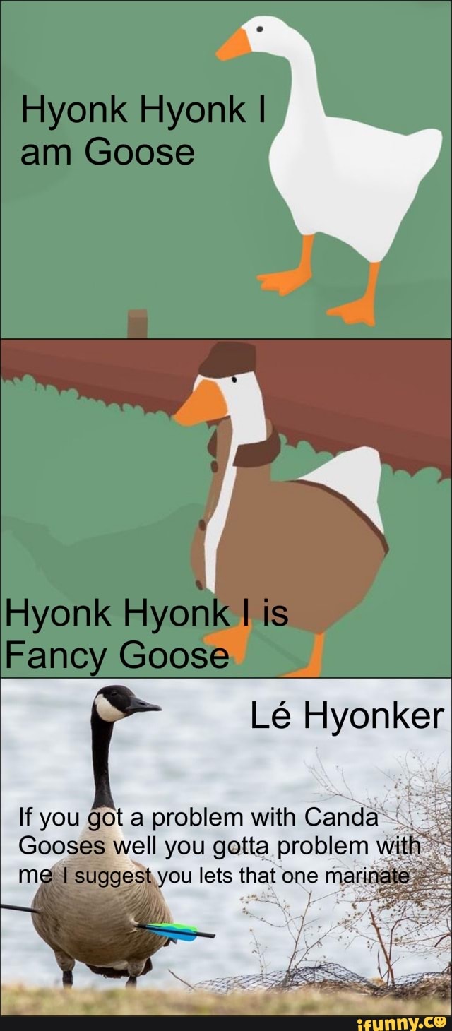 Goose memes. Best Collection of funny Goose pictures on iFunny Brazil