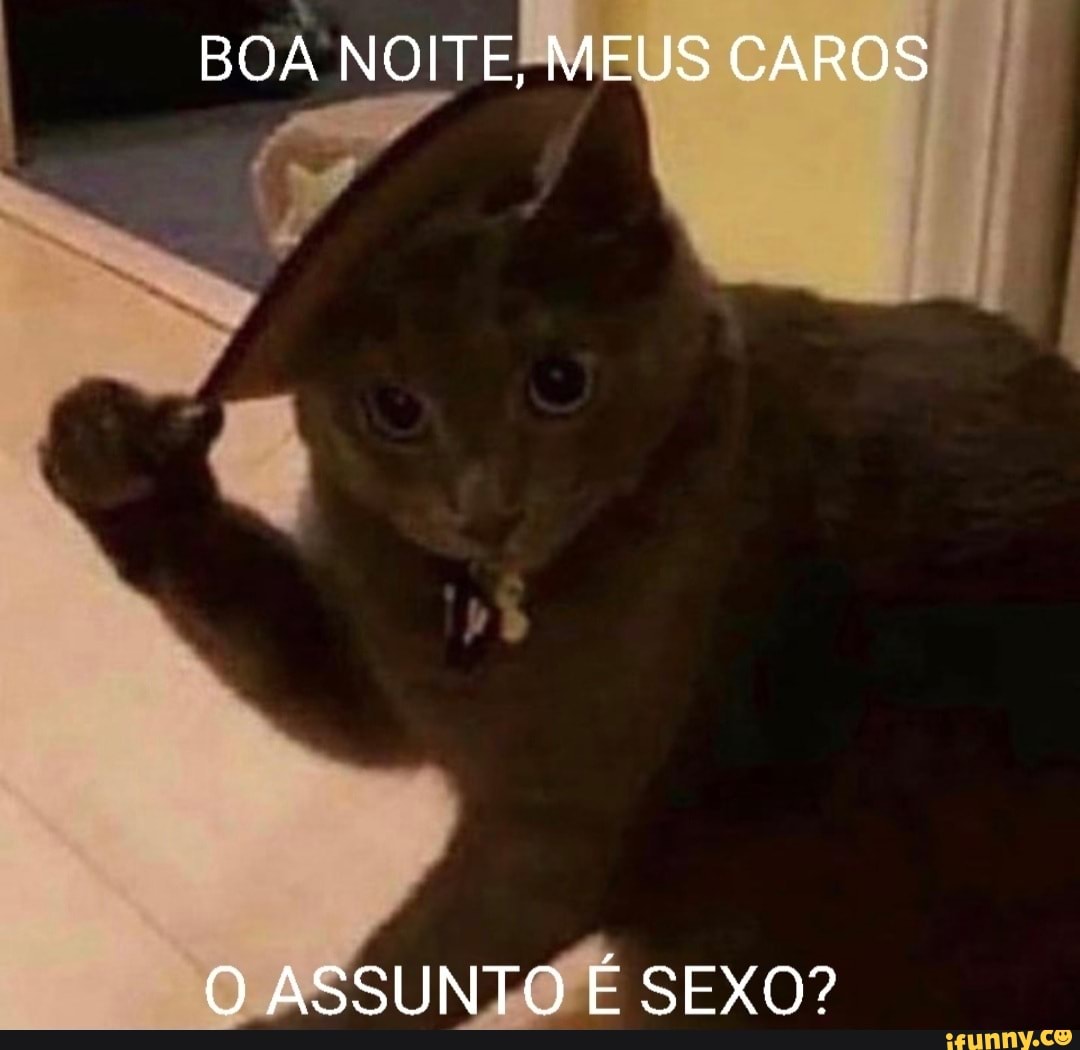 BOA NOITE, MEUS CAROS O ASSUNTO É SEXO? - iFunny Brazil