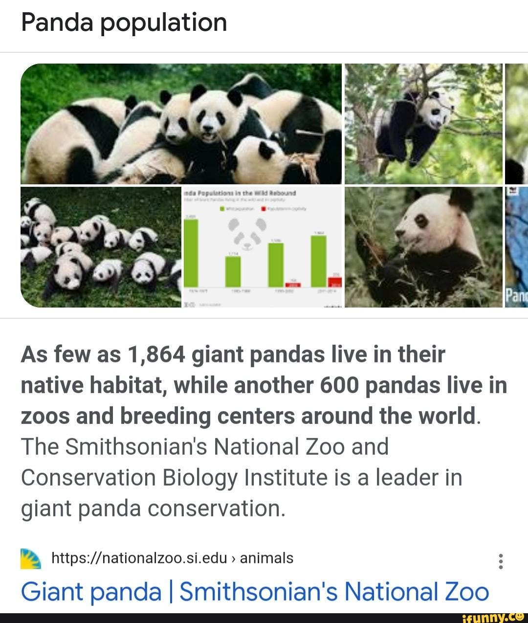 Pandas Bounce Back in Spite of Their Critics - The Atlantic