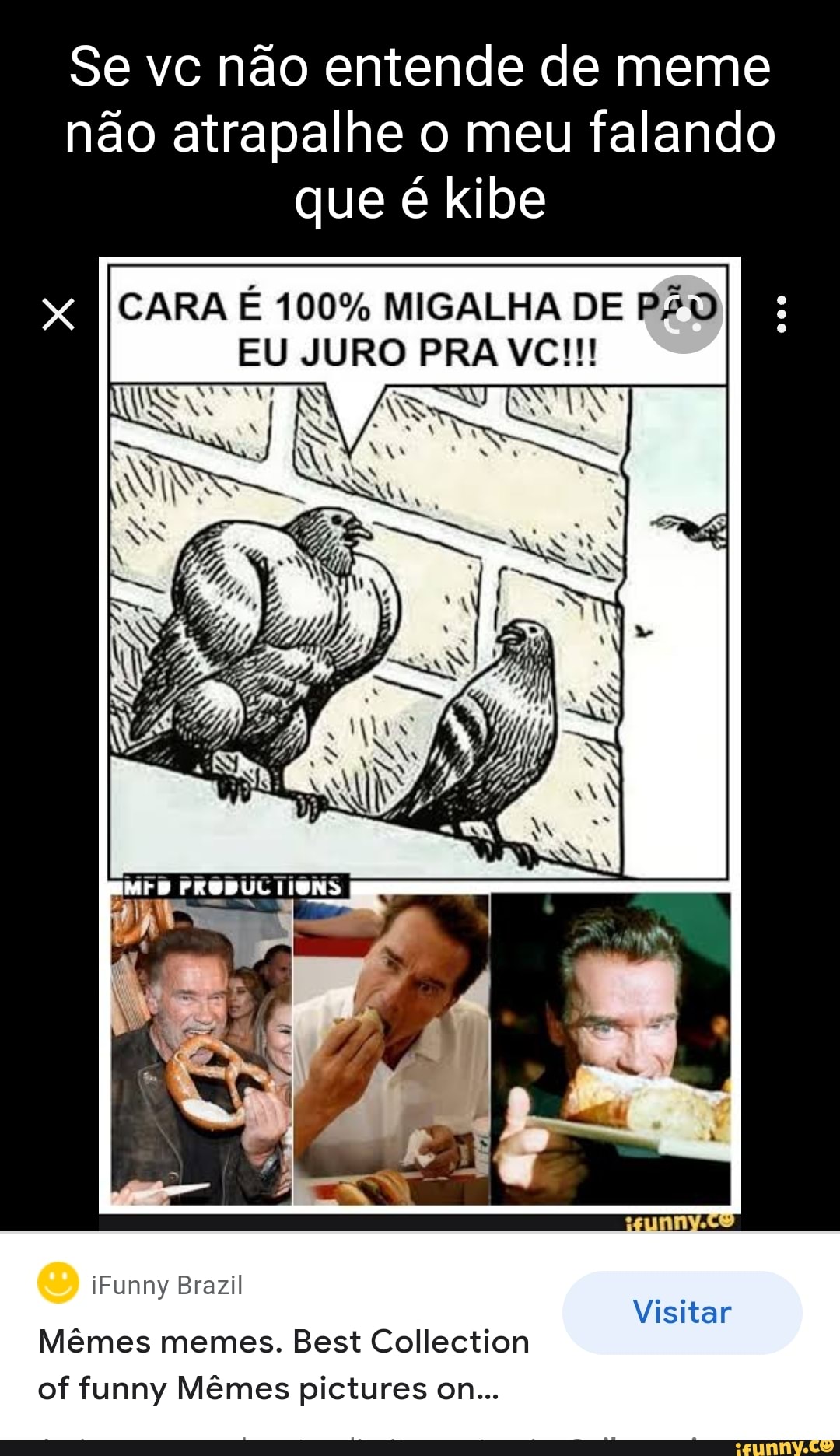 Compilado de Memes em Imagens Niirk 148 mil visualizações meses atrás QUEM  ASSISTIU A CONTEÚDO ADULTO? - iFunny Brazil