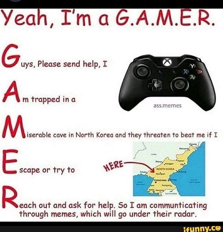 GamerG