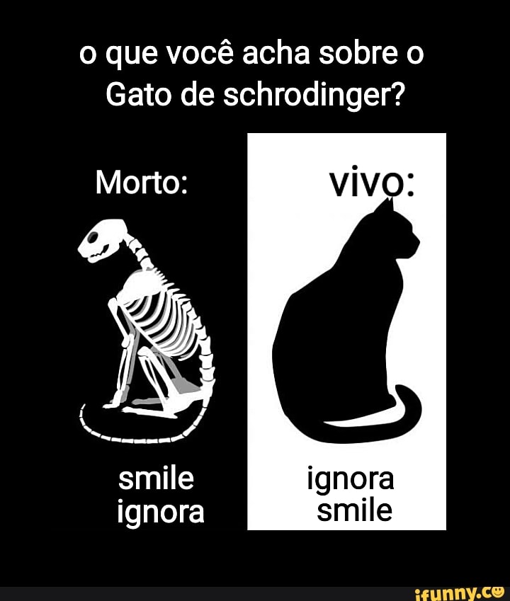 O que é o Gato de Schrödinger?