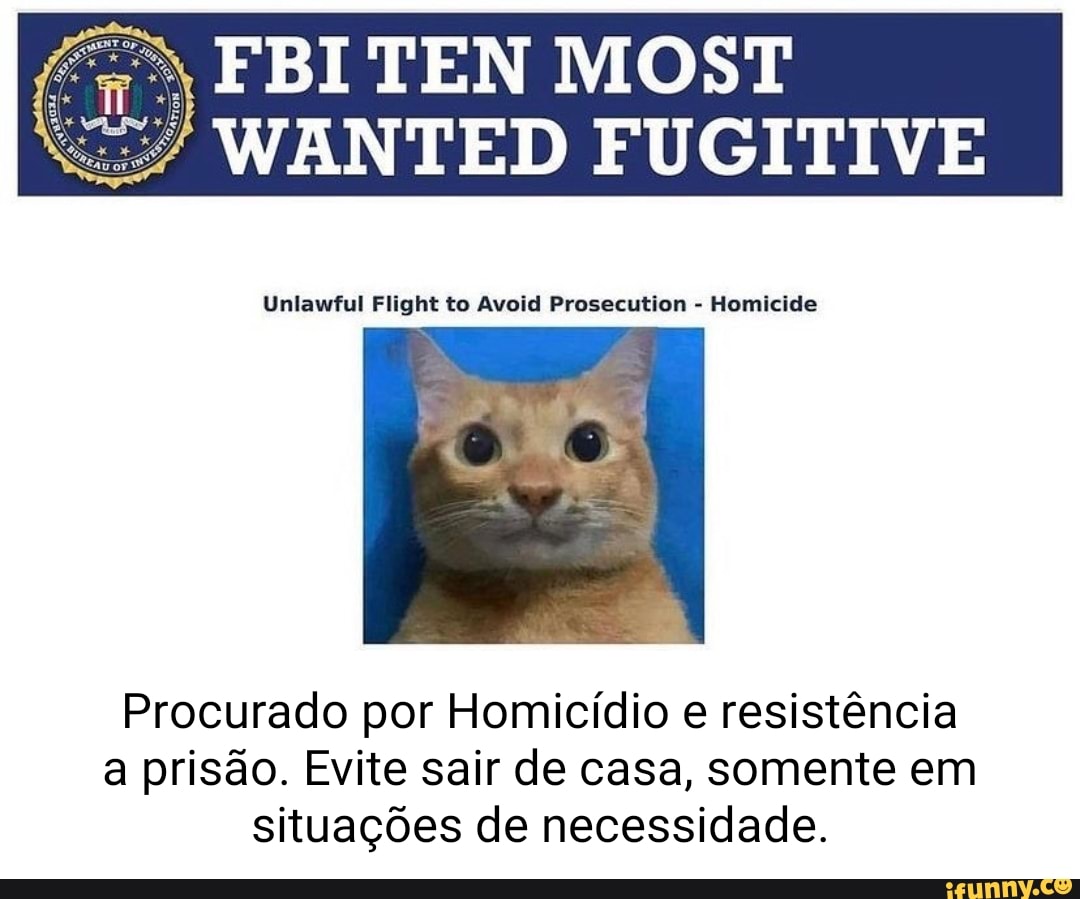 Wanted memes. Best Collection of funny Wanted pictures on iFunny Brazil