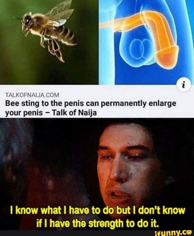 TALKOFNAIJA.COM Bee sting the penis can permanently enlarge your