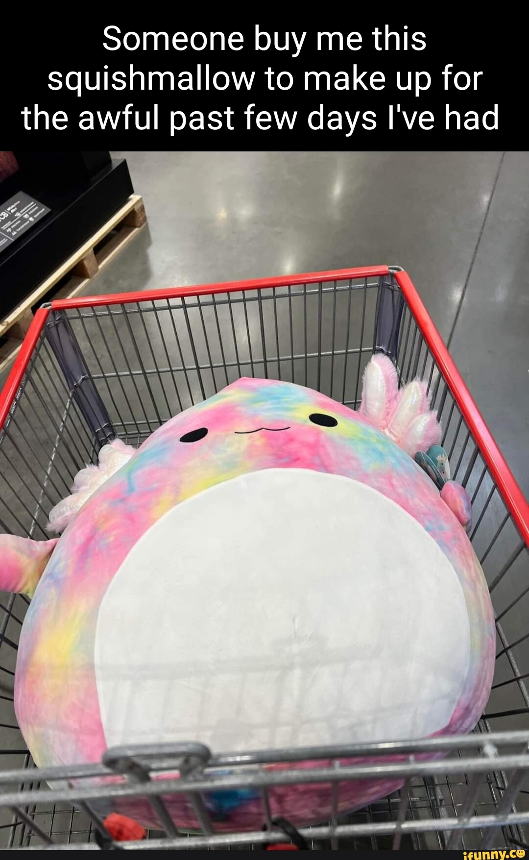 What Do You Meme? Squishmallows Take 4 SM4013 - Best Buy