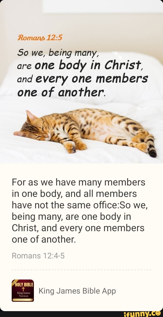 Roman So We, Being Many, Are One Body In Christ, And Every One Members ...