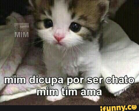 Tim memes. Best Collection of funny Tim pictures on iFunny Brazil