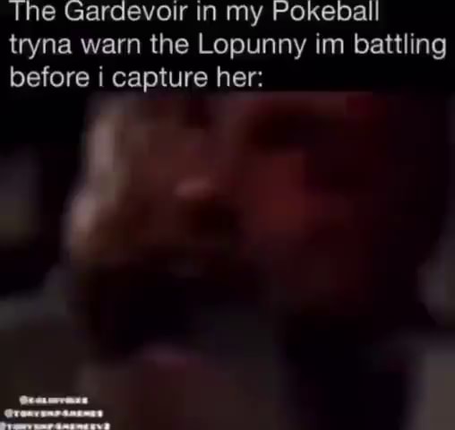 EN ro = Gardevoir Rastro Intimidação Ataque Gyarados Caiu! - iFunny Brazil