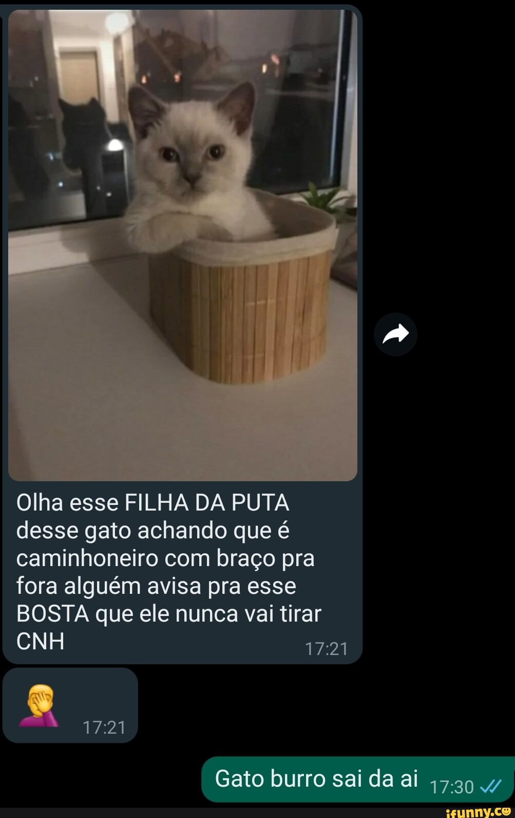 O foda que ela é linda Eeusousóo Leon Agiota do carro do ovo - iFunny Brazil