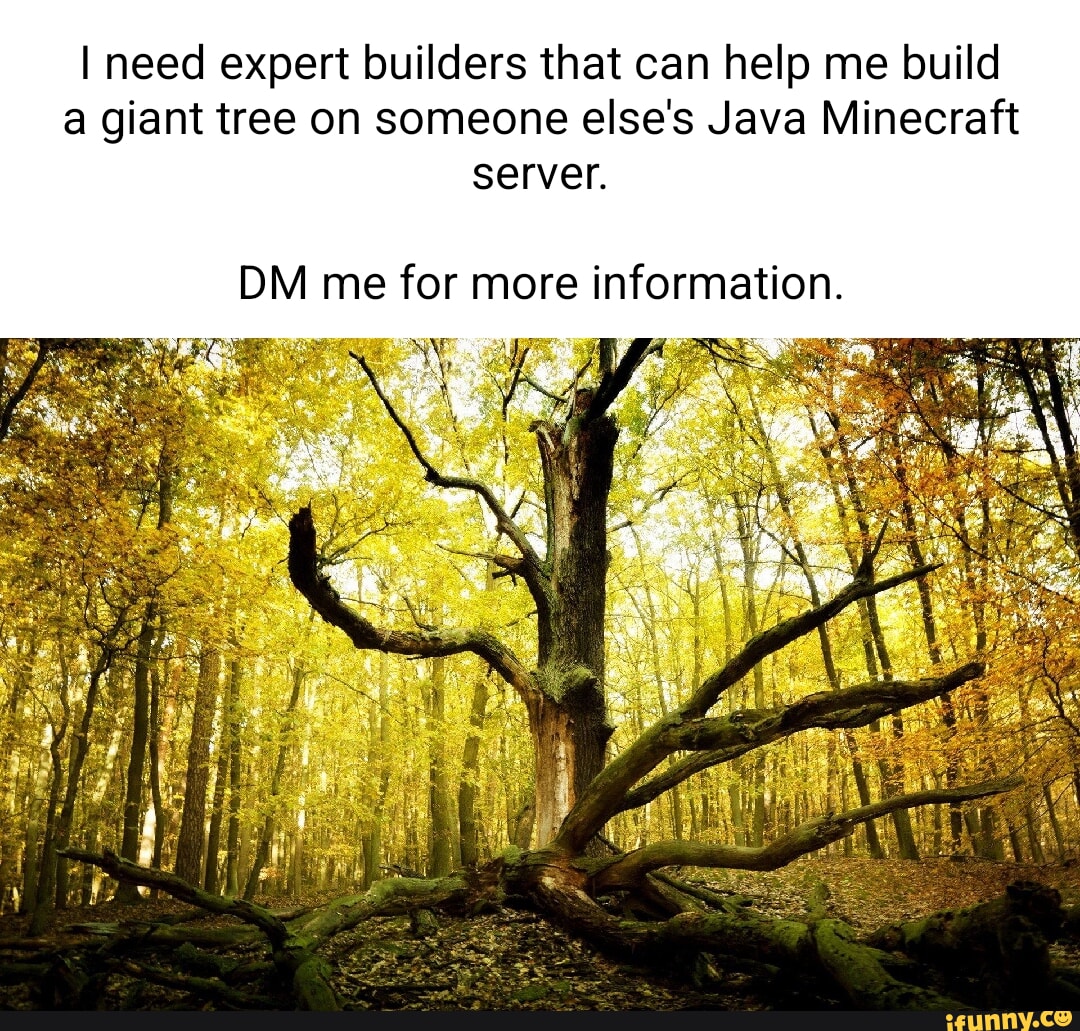 I need expert builders that can help me build a giant tree on someone